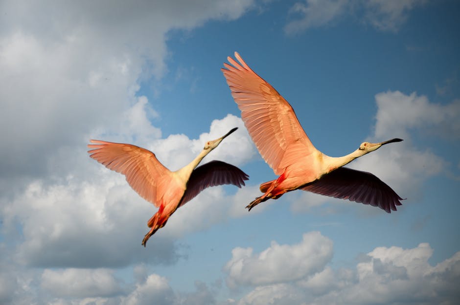 Cloud Migration Myths Debunked