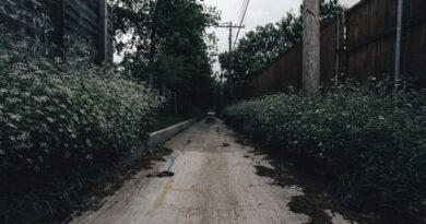 Choosing Between Public and Private Clouds