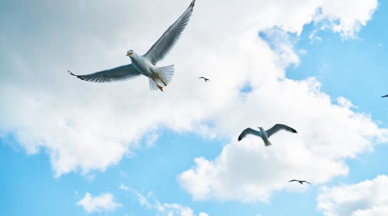 Cloud Migration Myths Debunked