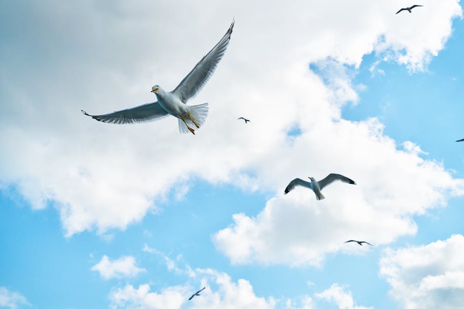 Cloud Migration Myths Debunked