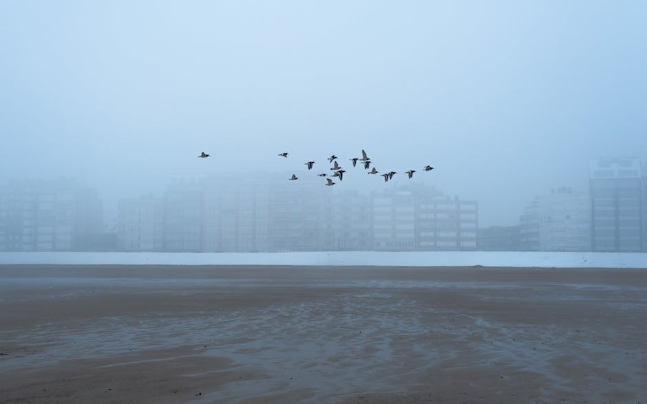 Cloud Migration Myths Debunked