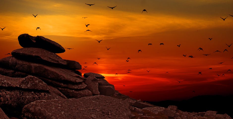 Cloud Migration Myths Debunked
