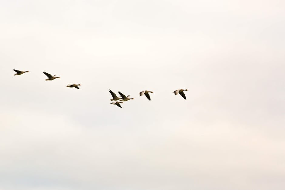 Cloud Migration Myths Debunked