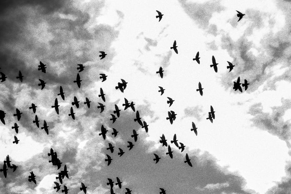 Cloud Migration Best Practices Unveiled