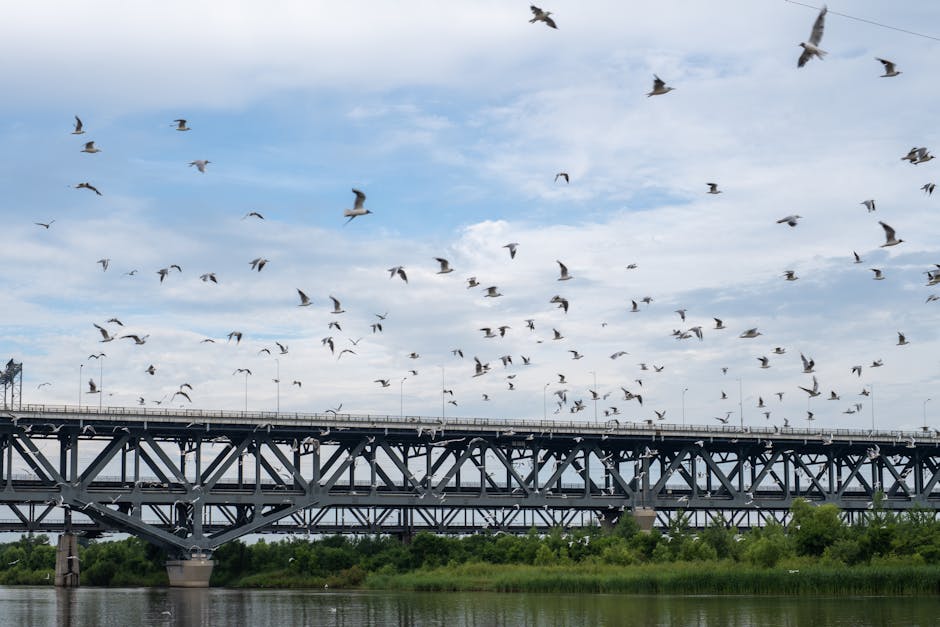 Cloud Migration Best Practices Unveiled