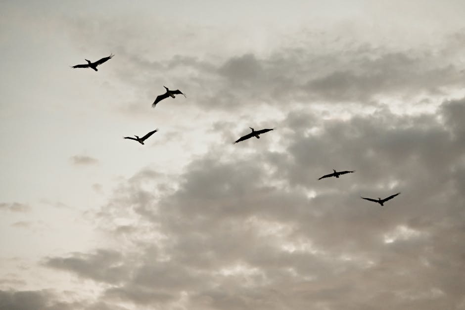 Cloud Migration Best Practices Unveiled