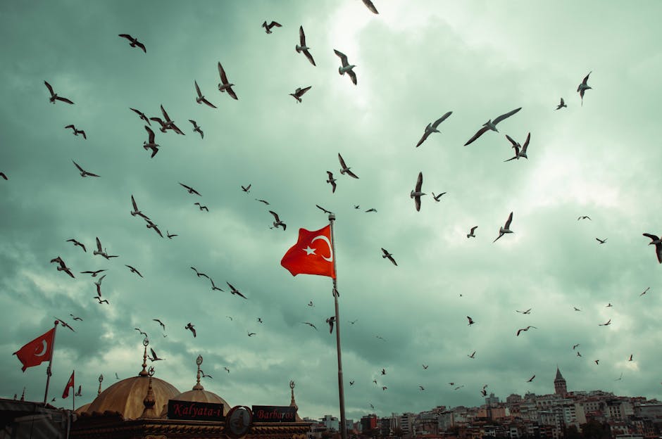 Building a Cloud Migration Strategy That Works