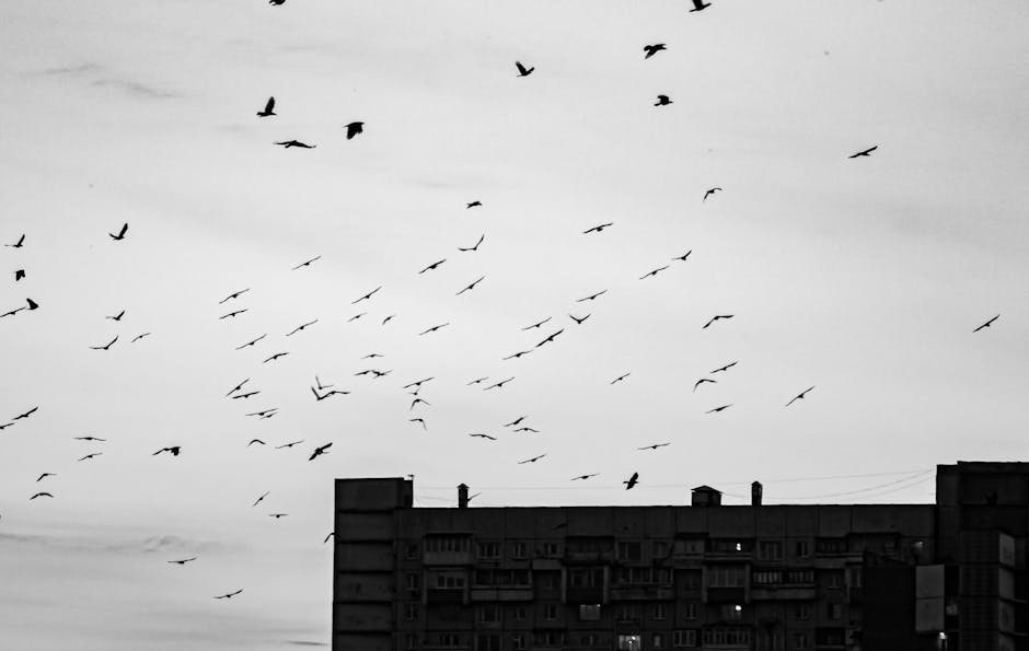 Building a Cloud Migration Strategy That Works