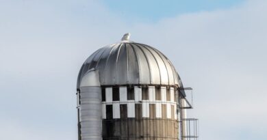 Top Cloud Storage Solutions for Everyone