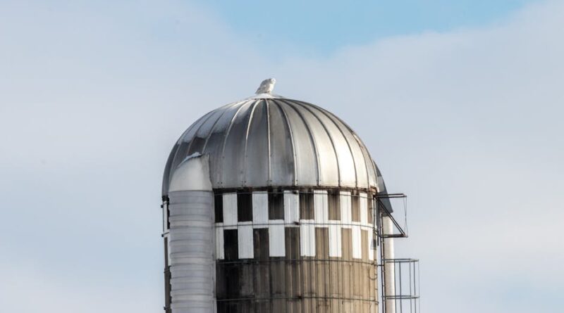 Top Cloud Storage Solutions for Everyone
