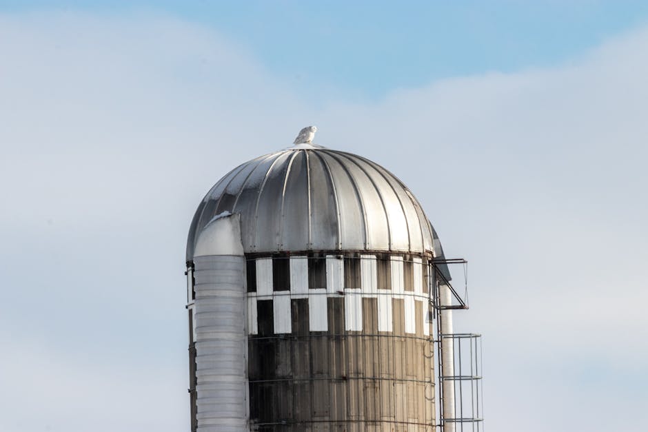 Top Cloud Storage Solutions for Everyone
