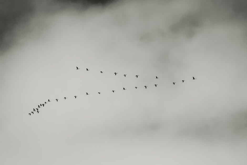 Understanding the Cloud Migration Lifecycle