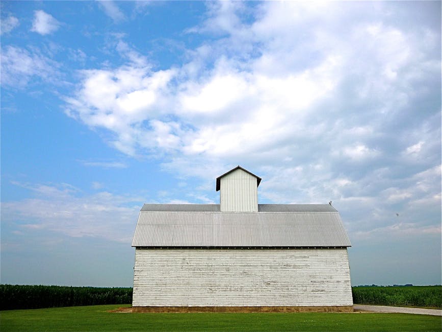 How to Optimize Your Cloud Storage Space